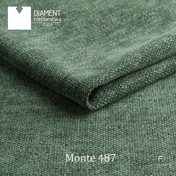 MONTE 487