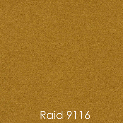 RAID 9116