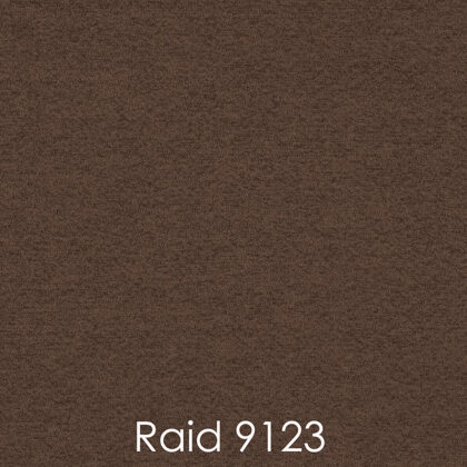 RAID 9123