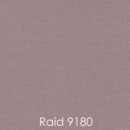 RAID 9180