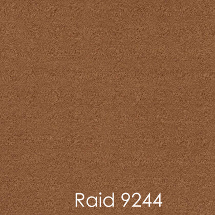 RAID 9244