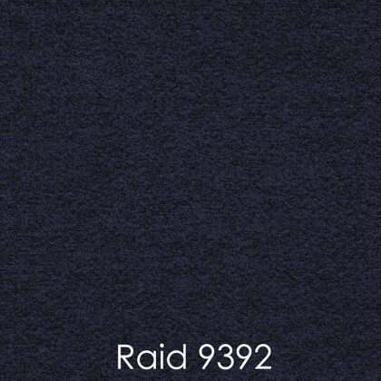 RAID 9392