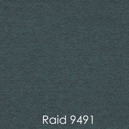 RAID 9491