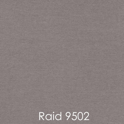 RAID 9502