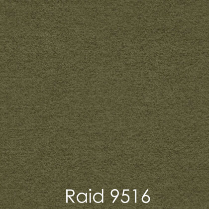 RAID 9516