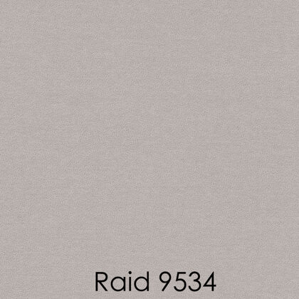 RAID 9534