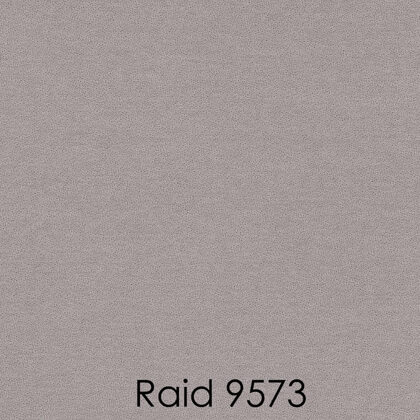 RAID 9573