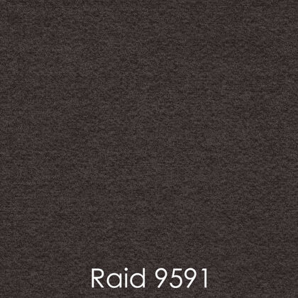 RAID 9591