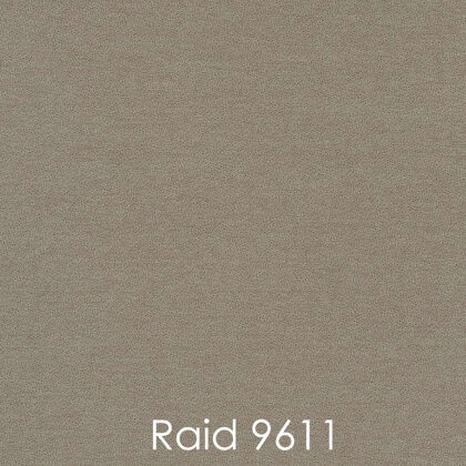 RAID 9611