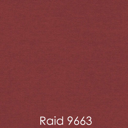 RAID 9663