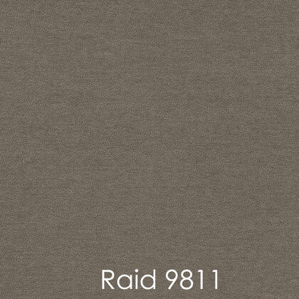 RAID 9811