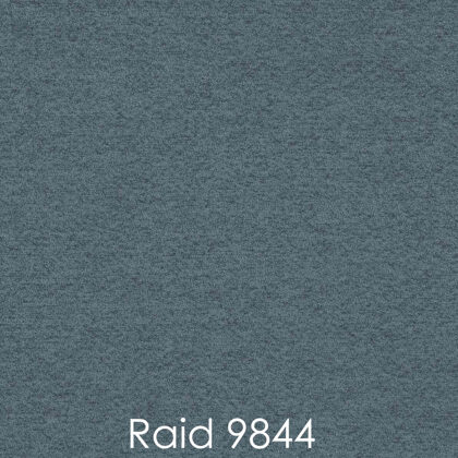 RAID 9844