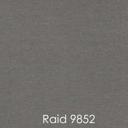 RAID 9852