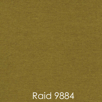 RAID 9884