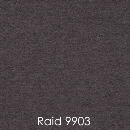 RAID 9903