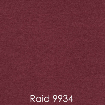 RAID 9934