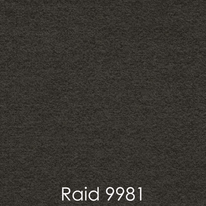 RAID 9981