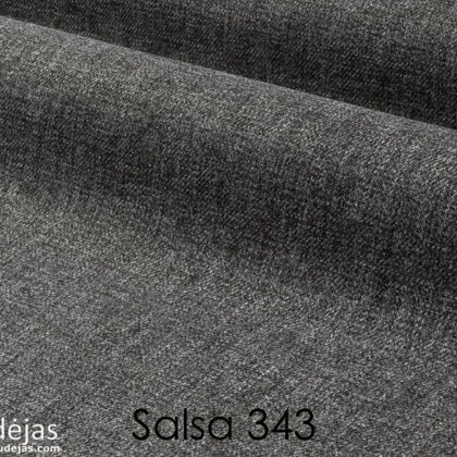SALSA 343
