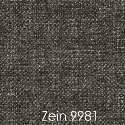 ZEIN 9981