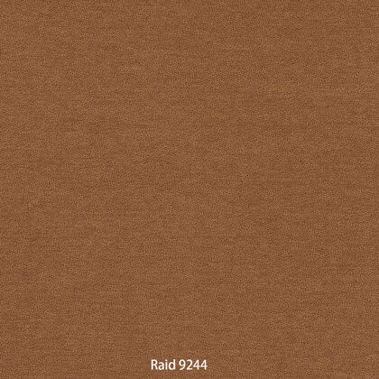 Raid 9244