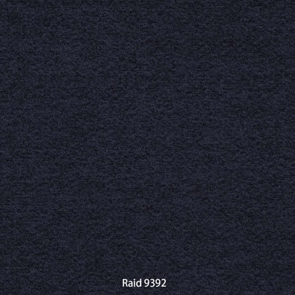 Raid 9392