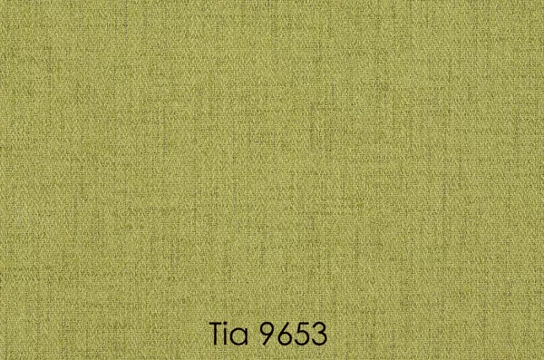 TIA 9653