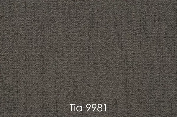 TIA 9981