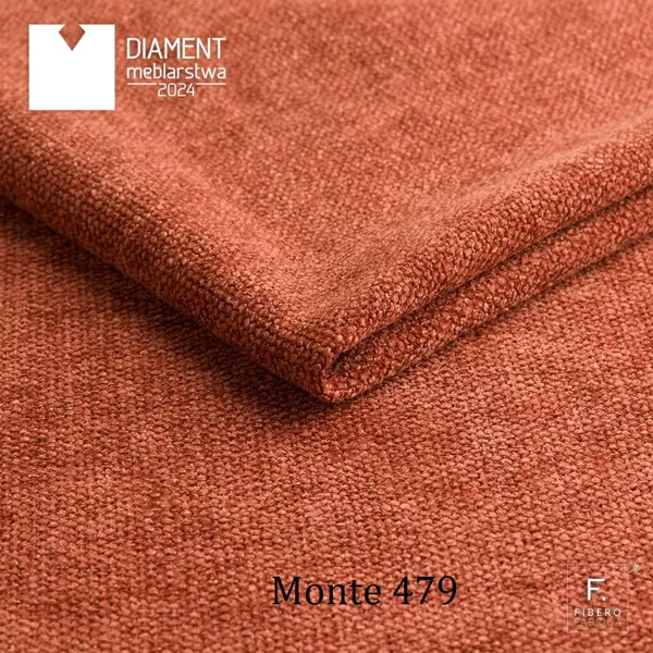MONTE 479