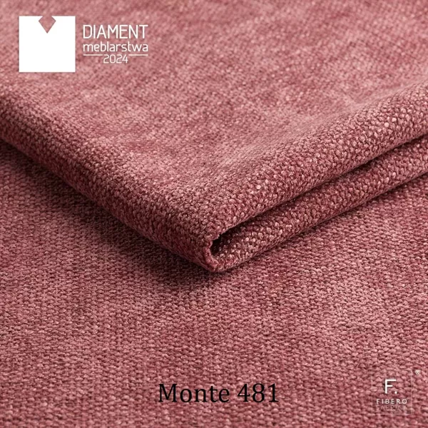 MONTE 481