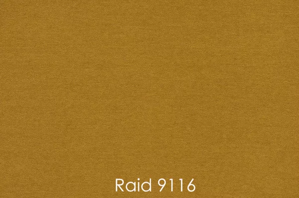 RAID 9116