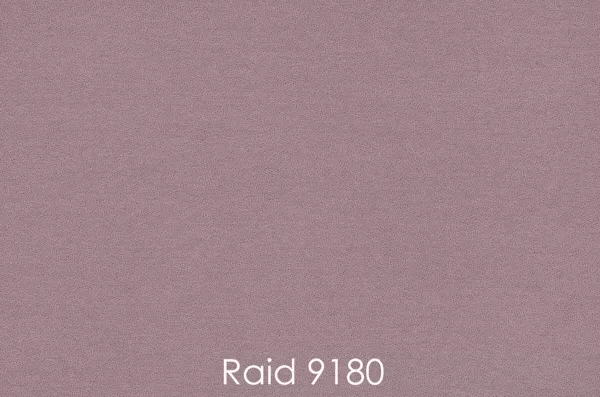 RAID 9180