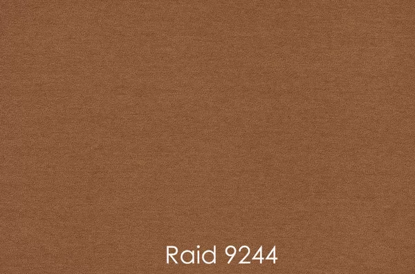 RAID 9244