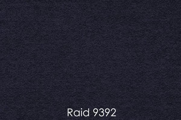 RAID 9392