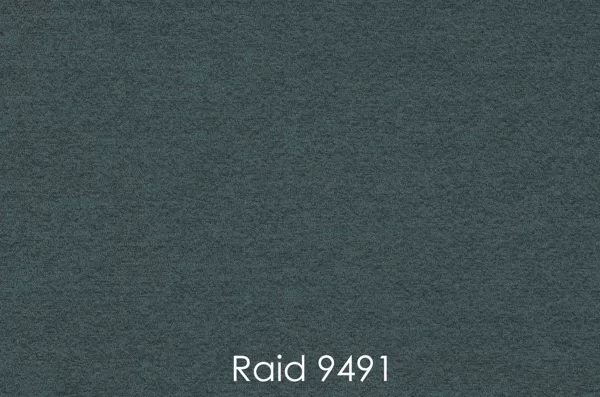 RAID 9491