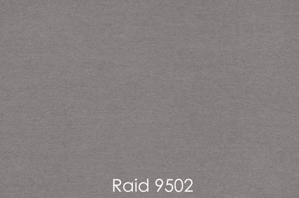 RAID 9502