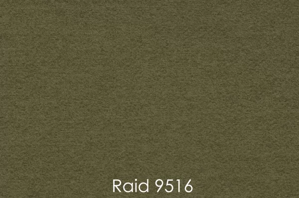 RAID 9516