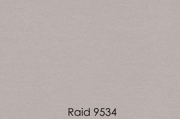 RAID 9534