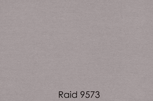 RAID 9573