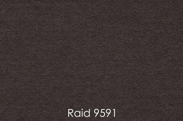 RAID 9591