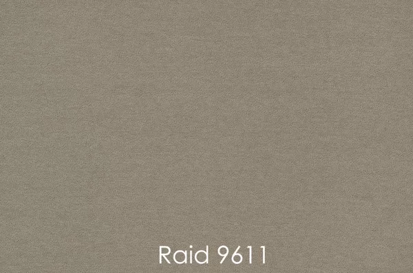 RAID 9611