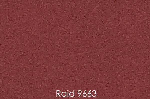 RAID 9663