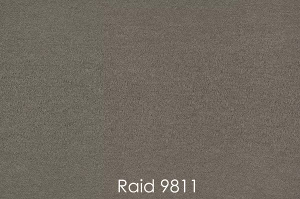 RAID 9811