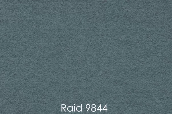 RAID 9844