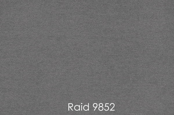 RAID 9852