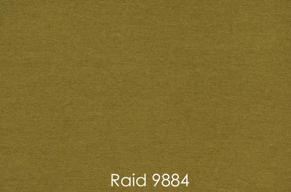 RAID 9884