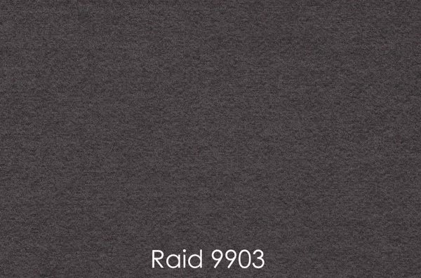 RAID 9903