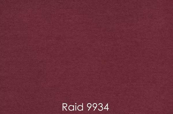 RAID 9934