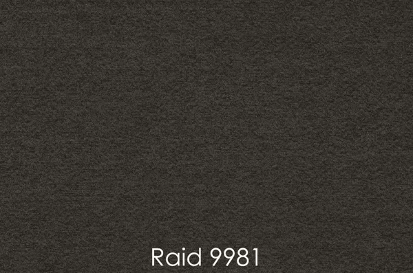 RAID 9981