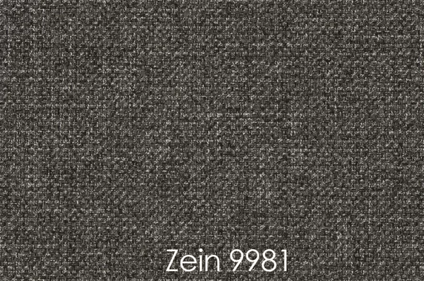 ZEIN 9981