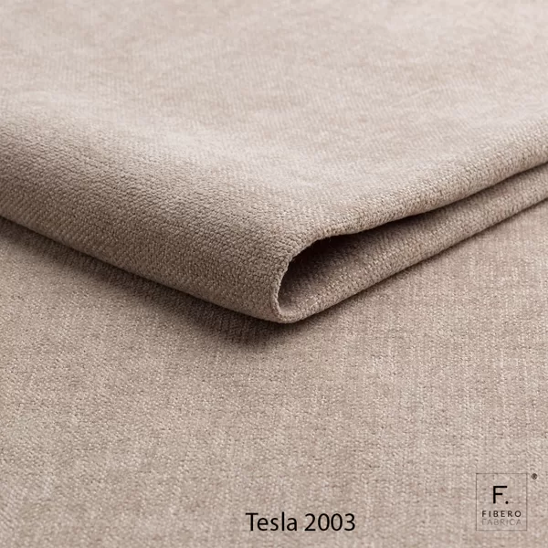 Tesla 2003